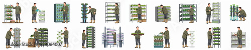 Full Shot Collection of Man Growing Vertical Garden with Hydroponics System