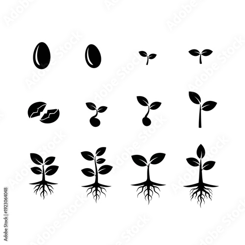 Plant Growth Stages Seedling Development Icons.