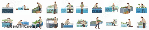 Simple Flat Set Woman Working with Hydroponic System Illustration