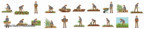 Flat Illustration Farmer Harvesting Crops Vegetables and Working on the Farm