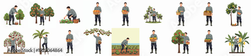 Detailed Watercolor Gardener Activities and Harvesting Various Fruits, Tree Isolated Illustration