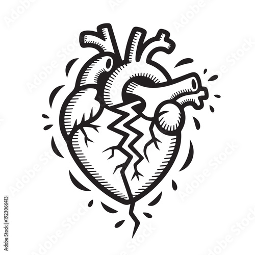 Stylized anatomical heart illustration showing crack in middle representing heartbreak or trauma