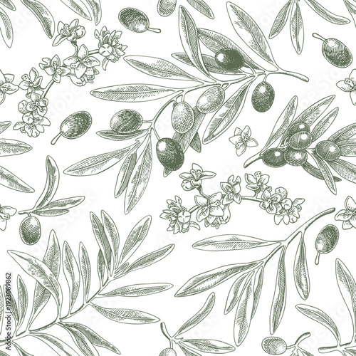 Drawing olive fruit branch seamless pattern. Hand drawn floral illustration, tree branches, flowers bloom, leaves, fruits background green vector. Drawings food. Edible foliage. Menu, wrapping card