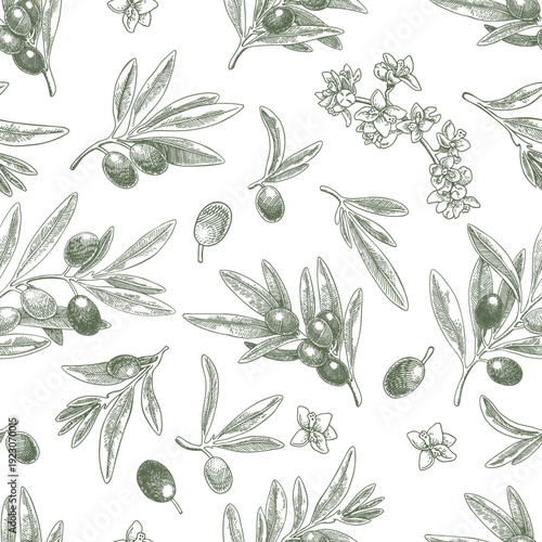 Seamless pattern drawing olive oil fruits branch. Hand drawn floral illustration olives fruit tree branches leaves background green vector. Drawings food. Edible foliage. Fabric wrapping decor menu