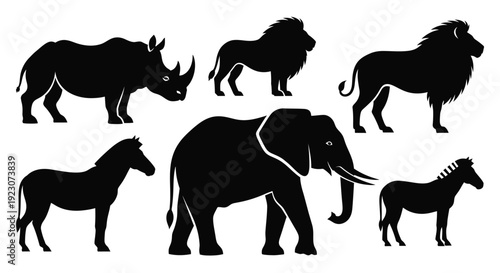 African Safari Animals Silhouettes Collection - Rhino, Lion, Elephant, Zebra Vector Graphics