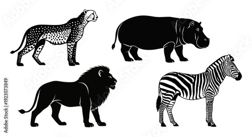 African Safari Animals Collection Vector Illustration Set