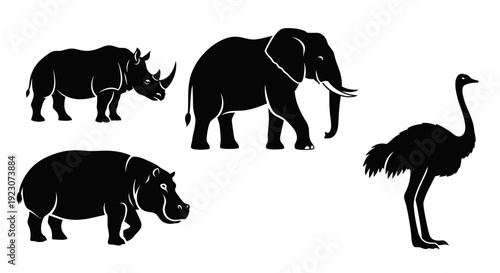 African Safari Animals Silhouettes Set: Elephant, Rhinoceros, Hippopotamus, Ostrich Icons