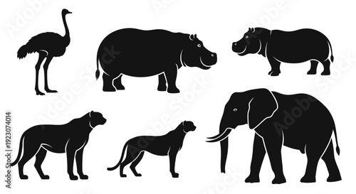 African Wildlife Silhouettes Set: Ostrich, Hippo, Elephant, and Big Cats