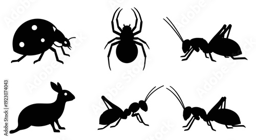 Animal and Insect Silhouettes Collection: Ladybug, Spider, Grasshopper, Ant, and Rabbit