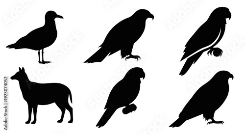 Animal silhouettes collection: various wildlife birds and deer outlines