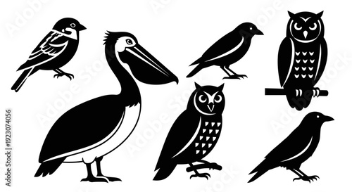 Bird Silhouettes Collection: Diverse Avian Species in Black and White