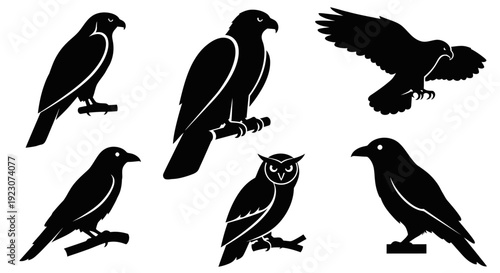Bird Silhouettes Collection: Eagles, Hawks, Owls, and Crows on White Background