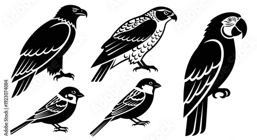 Bird Silhouettes Collection: Eagle, Falcon, Parrot, and Sparrows Vector Set