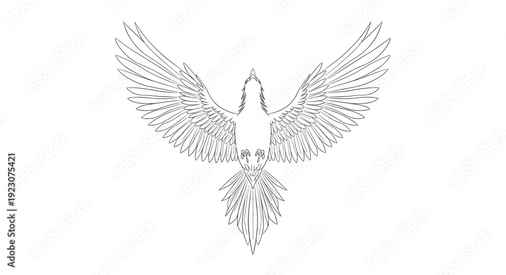 Fototapeta premium A beautiful illustration of a bird in flight with outstretched wings and feathers