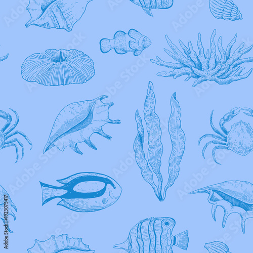 Elegant seamless pattern with corals, seaweeds and underwater creatures, seashells and fishes. Hand-drawn vector illustration.