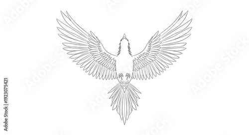 A beautiful illustration of a bird in flight with outstretched wings and feathers