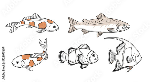 Five different fish illustrations with various patterns and colors