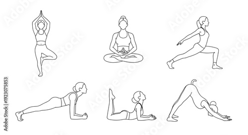 Vector illustration of various yoga poses for flexibility and balance