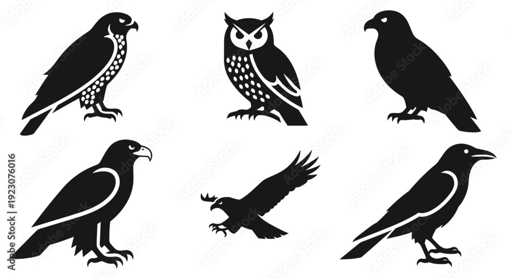 Fototapeta premium Bird Silhouettes Set: Owl, Eagle, Falcon, and Crow Icons - Vector Collection of Predatory Birds