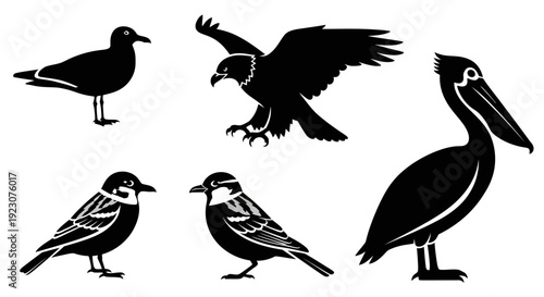 Bird silhouettes vector collection, diverse wild birds graphic set, nature wildlife illustration