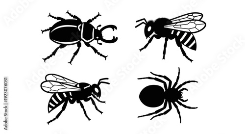 Black Insect and Arachnid Silhouettes Set - Beetle, Bee, and Spider Icons