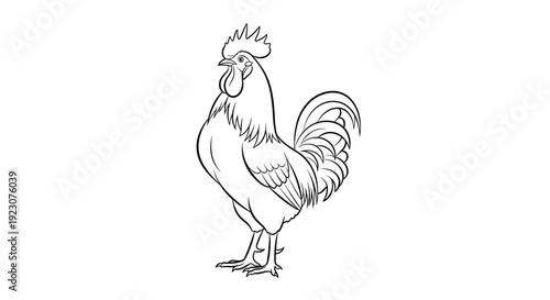 A black and white line drawing of a rooster