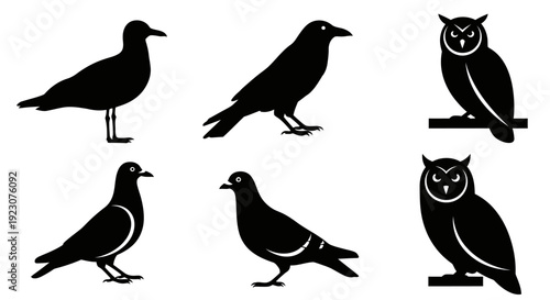 Collection of diverse bird silhouettes: crow, owl, pigeon, and seagull icons