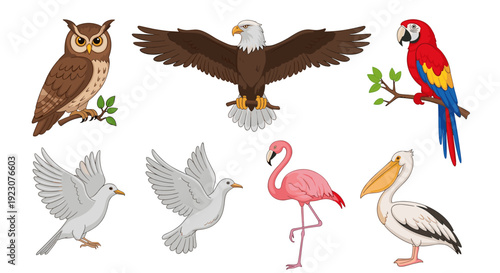 Collection of various colorful birds on including owl, eagle, parrot, dove, flamingo, and toucan