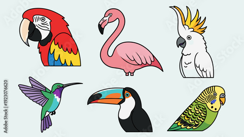 Colorful illustrations of various exotic birds on light blue background