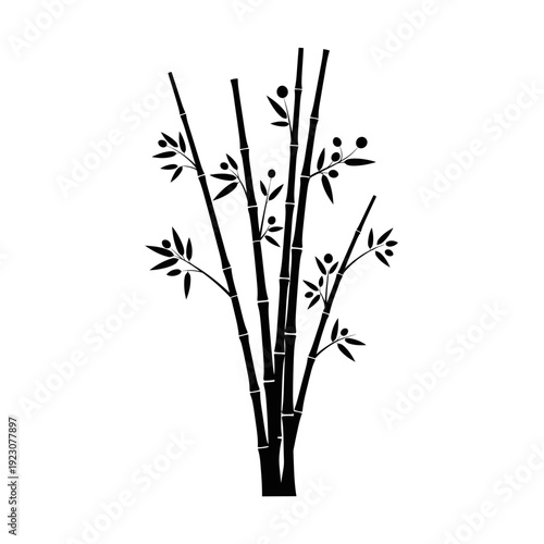 Black and White Bamboo Stalks with Leaves.