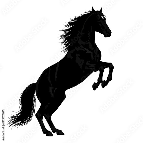 Black Horse Rearing Silhouette.