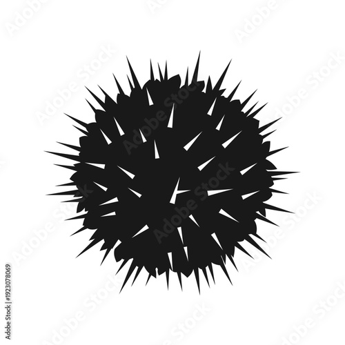 Black Sea Urchin Silhouette.