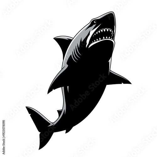 Black Shark Silhouette Illustration.