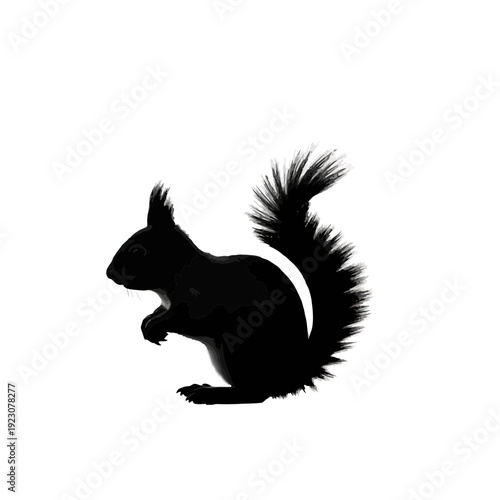 Black Silhouette of a Squirrel Sitting.