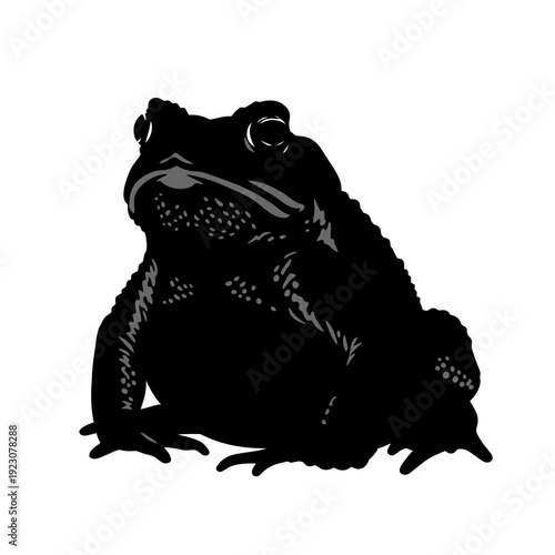 Black silhouette of a toad sitting on a white background.