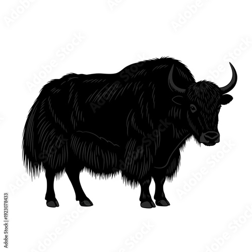 Black Yak Animal Illustration.