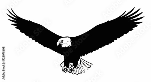 Majestic bald eagle soaring with outstretched wings against white background.