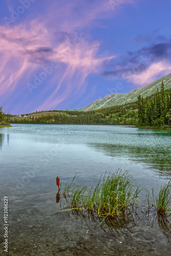 The dramatic sky, the grass out of the waters in the foreground - Emerald Lake, YT, Canada