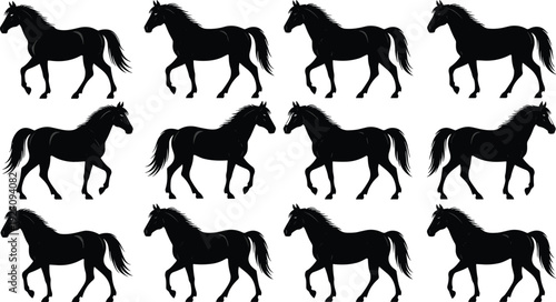 Black horse silhouettes in walking and trotting poses isolated on white background elegant equine vector illustration collection for design