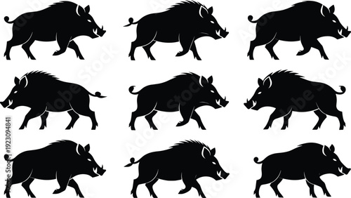 Wild boar silhouettes collection in different walking poses isolated on white background detailed animal vector illustration set for design