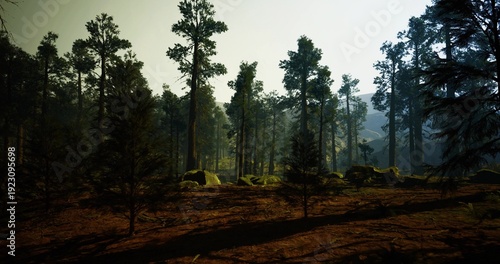 Foto Ancient conifer forest adorned with lush moss and towering trunks, Primeval pine