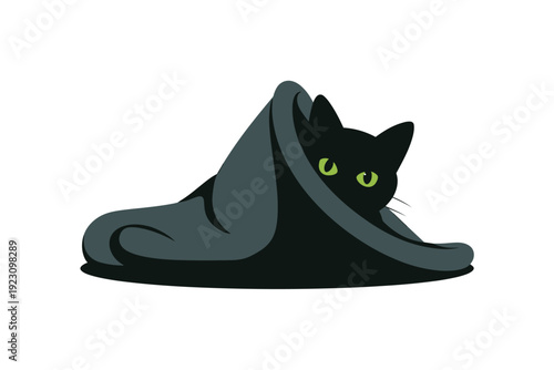 Mysterious black cat wrapped in dark cloth