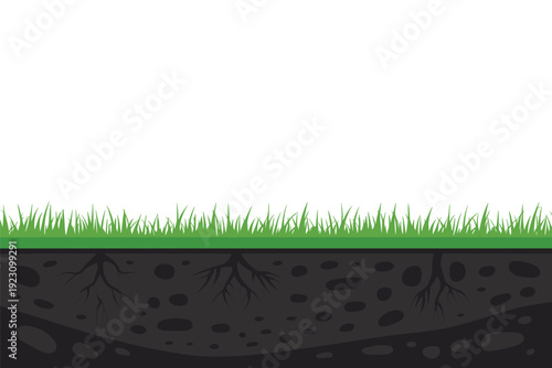 Grass growing in soil with roots illustration