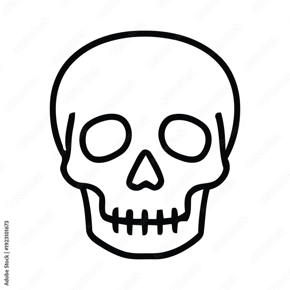 Obraz premium Simple line drawing of a human skull from the front view
