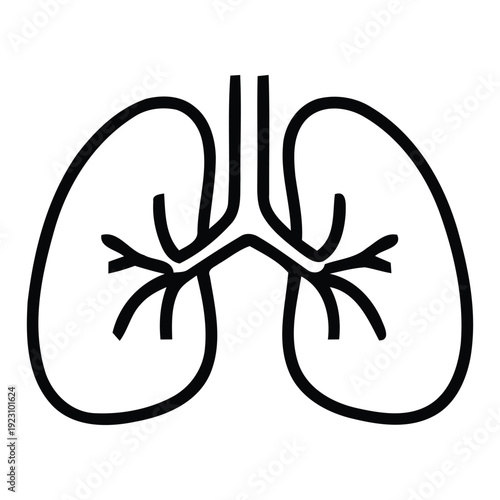 Simple black line illustration of human lungs and trachea anatomy