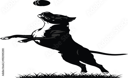 Powerful silhouette of a jumping pitbull dog catching a tennis ball in midair outdoors representing canine agility training fitness and active pet lifestyle isolated