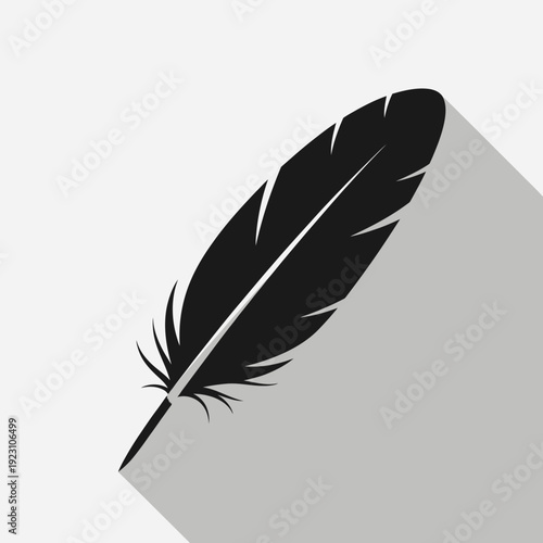 Black feather silhouette with shadow on light background.