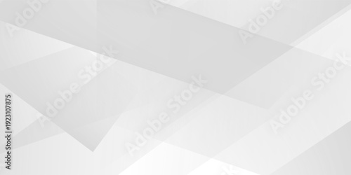 Abstract white and gray background. smooth abstract background, blurred pattern. Light pale vector background.