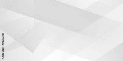 Abstract white and gray background. smooth abstract background, blurred pattern. Light pale vector background.