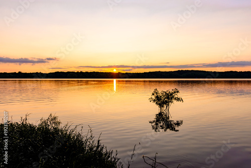 July sunset over a Western Kentucky lake with a small tree reflecting in the calm water. Scenic evening at Land Between the Lakes.